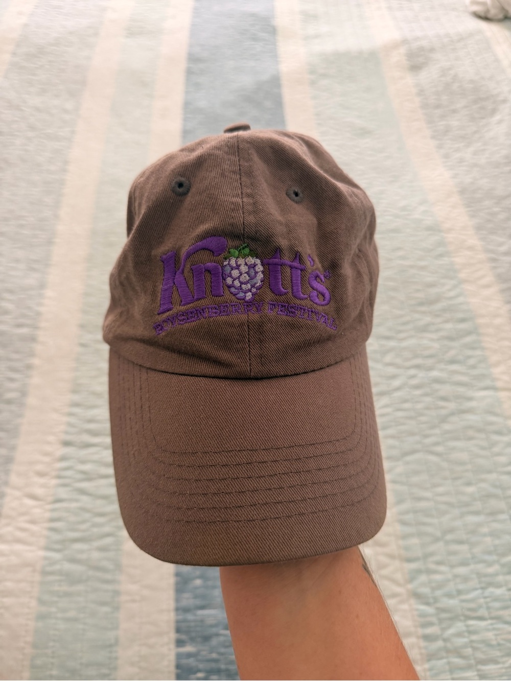 Knott's Boysenberry Festival Dad Hat with Purple Logo